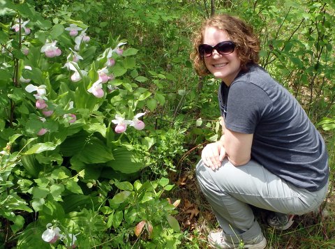 A woman crouched next to a clump of showy lady's slippers